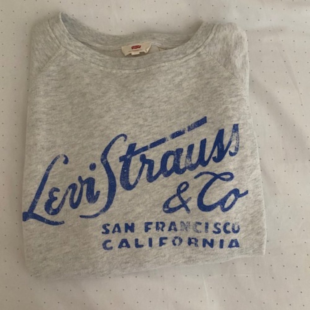Small Gray Levi's Pullover Sweater